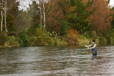 Fly Fishing