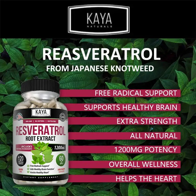 Resveratrol capsules - antioxidant supplement to support circulatory health and overall