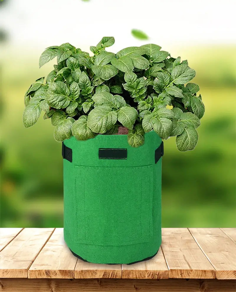 3 size felt plant grow bags nonwoven fabric garden potato pot greenhouse vegetable growing bags