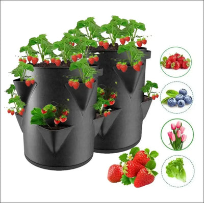 Spring strawberry growing bag vegetable planting bag grow pot plant 5/7/10gal grow bag garden